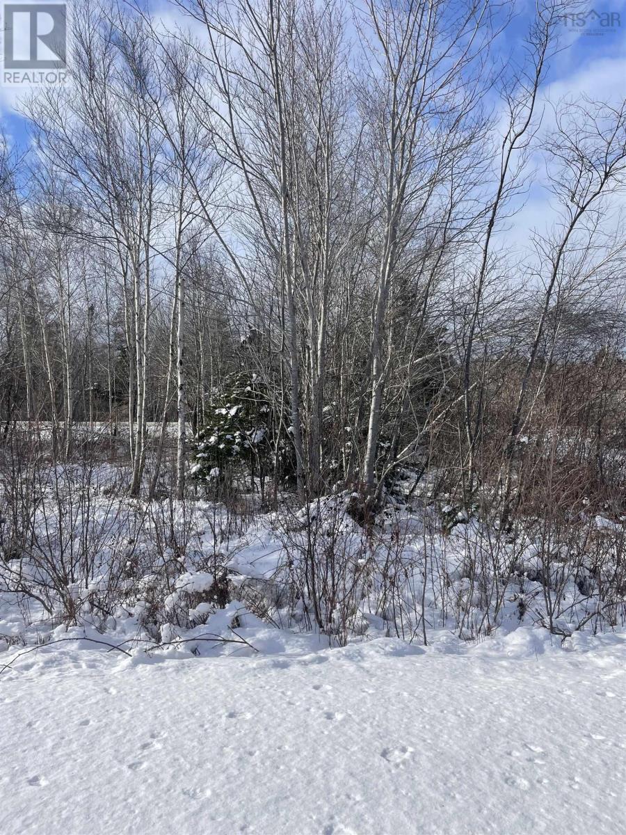 847 Patrice Road, Church Point, Nova Scotia  B0W 1M0 - Photo 2 - 202602151