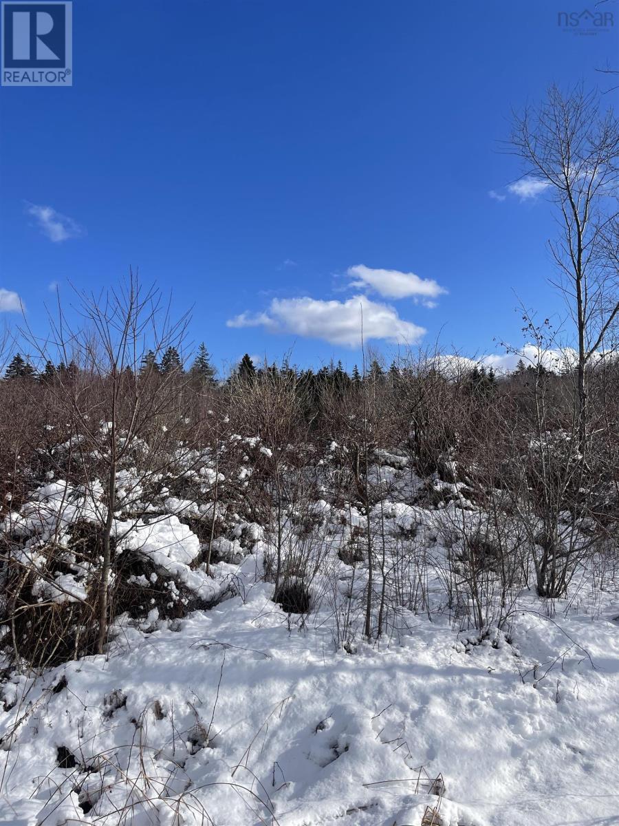 847 Patrice Road, Church Point, Nova Scotia  B0W 1M0 - Photo 3 - 202602151