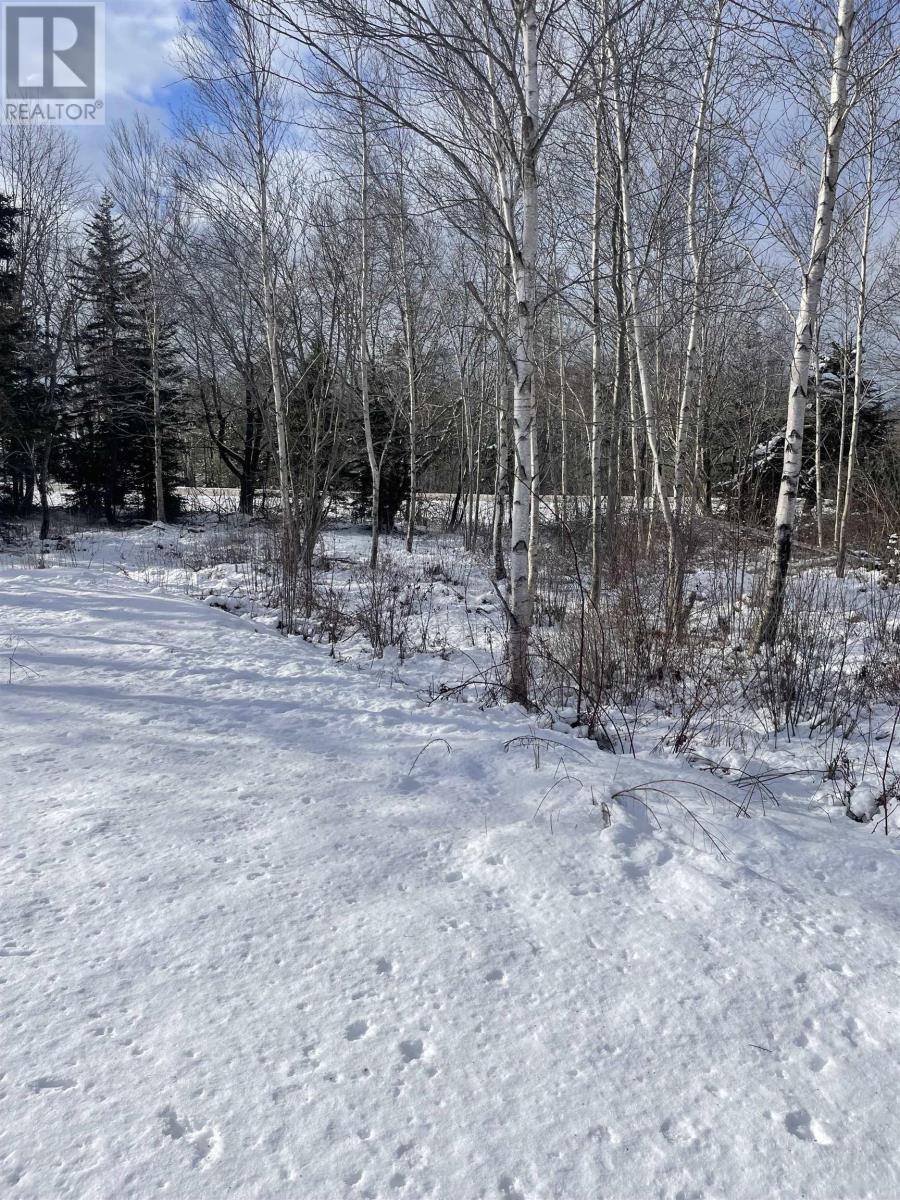 847 Patrice Road, Church Point, Nova Scotia  B0W 1M0 - Photo 4 - 202602151