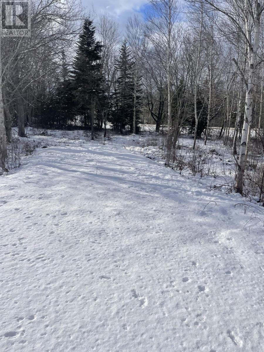 847 Patrice Road, Church Point, Nova Scotia  B0W 1M0 - Photo 9 - 202602151