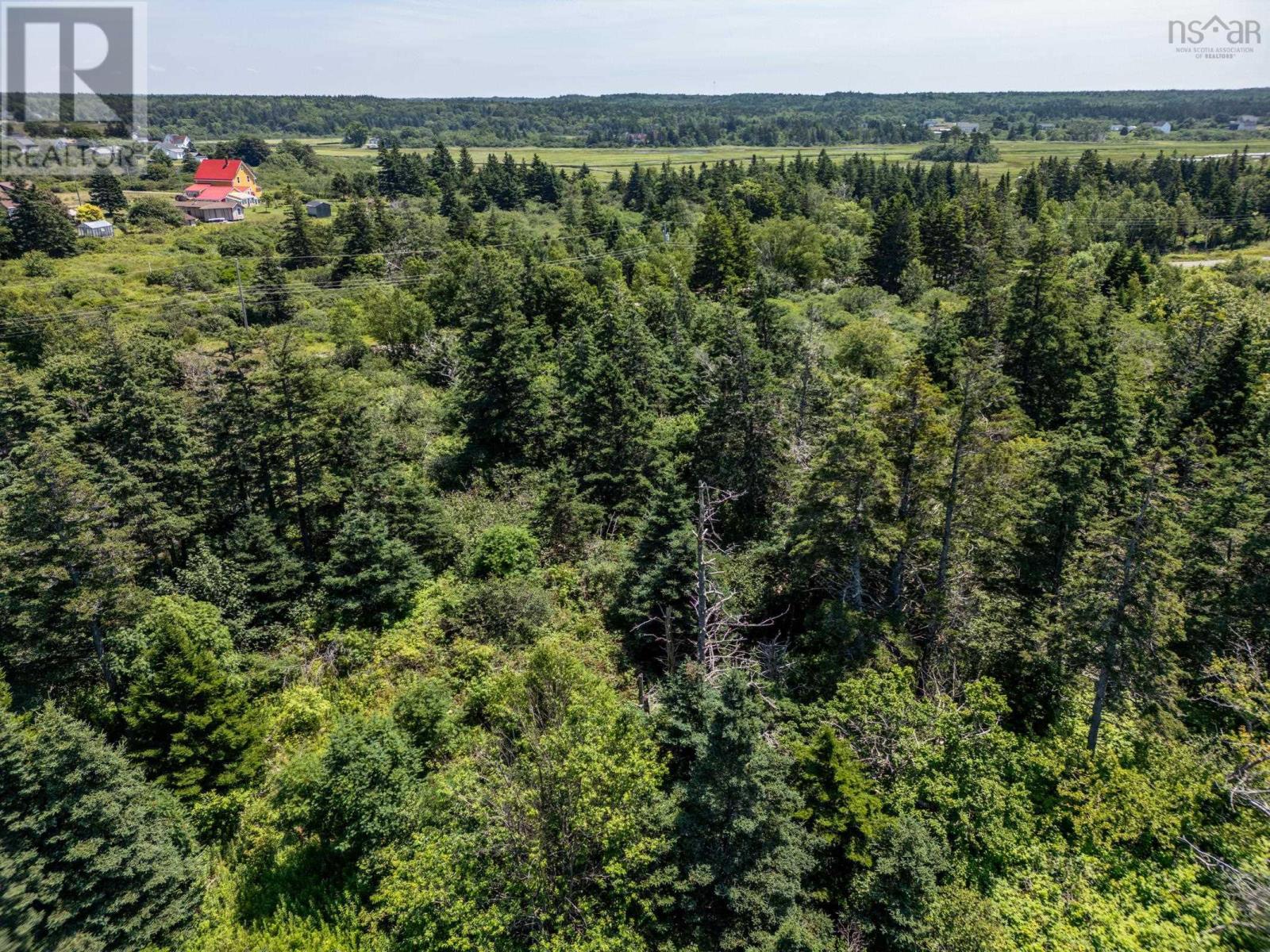 Lot 20 Point Road, Belliveaus Cove, Nova Scotia  B0W 1M0 - Photo 7 - 202602179