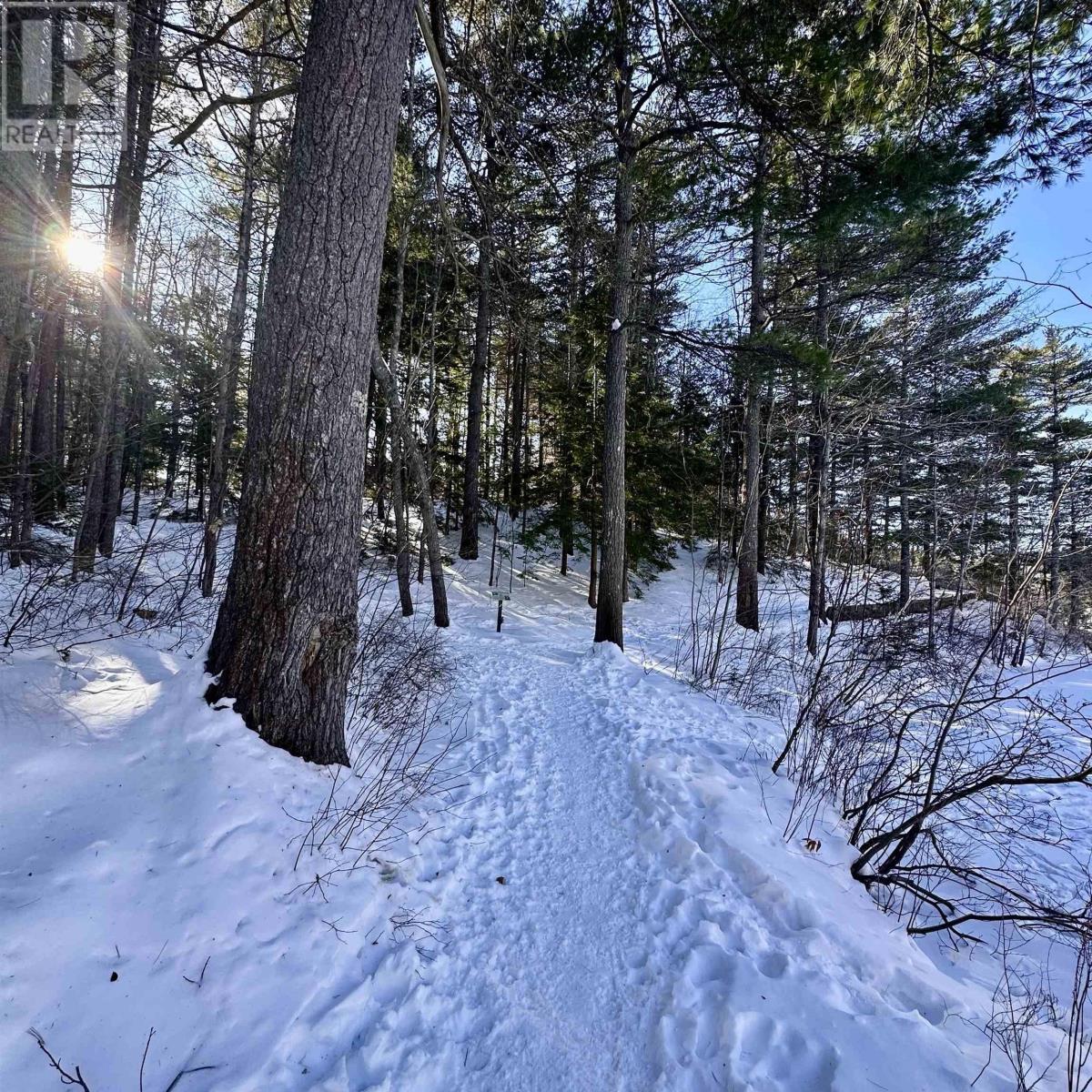 213 Alexandra Avenue, Bridgewater, Nova Scotia  B4V 1H7 - Photo 26 - 202602204