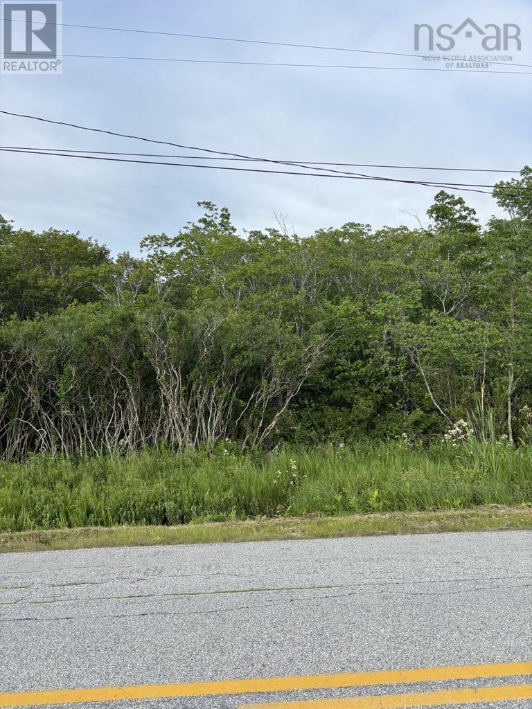 Highway 1, Church Point, Nova Scotia  B0W 1M0 - Photo 2 - 202602250