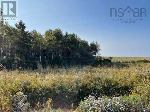 Lot 21 Beach Chair Lane, Pugwash, Nova Scotia  B0K 1L0 - Photo 10 - 202602271