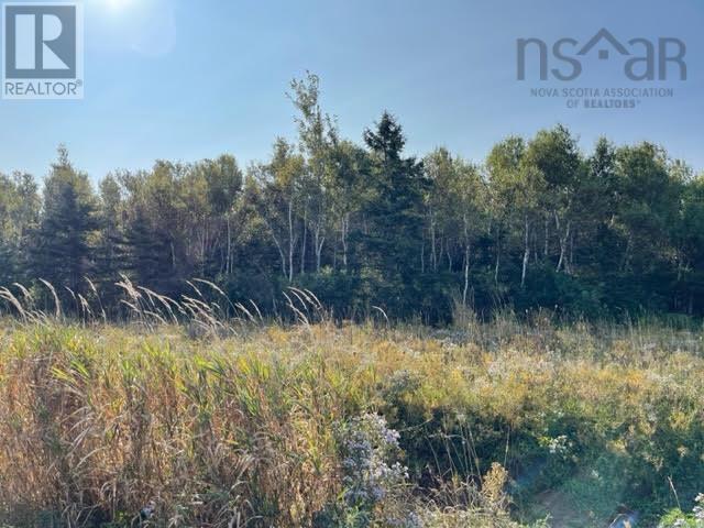 Lot 21 Beach Chair Lane, Pugwash, Nova Scotia  B0K 1L0 - Photo 12 - 202602271