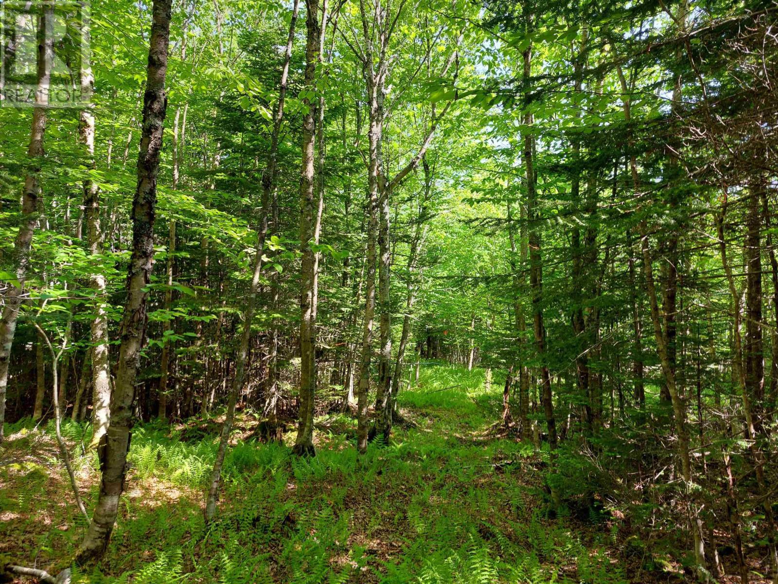 Lot 76 Peter Sosna Dr., Hay Cove, Nova Scotia  B0E 3B0 - Photo 9 - 202602344