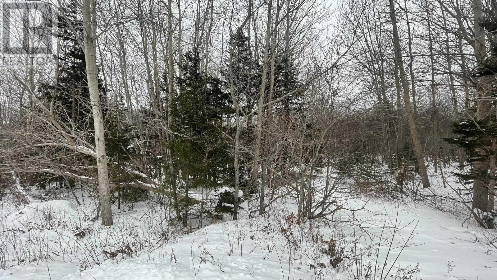 Lot 3 Jordantown Cross Road, Conway, Nova Scotia  B0V 1A0 - Photo 13 - 202602407