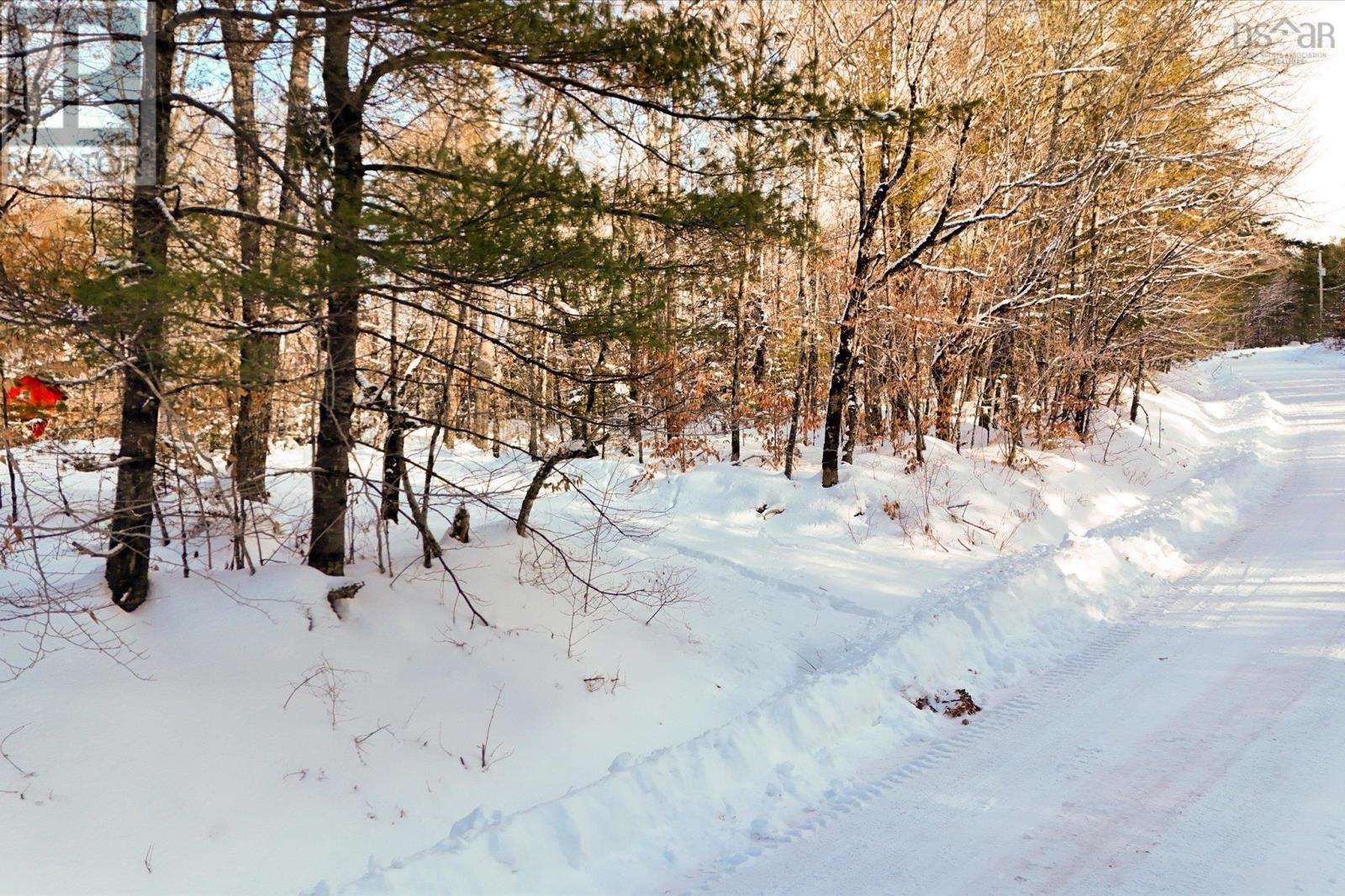 170 Uhlman Point Road, Molega North, Nova Scotia  B0T 1X0 - Photo 6 - 202602423