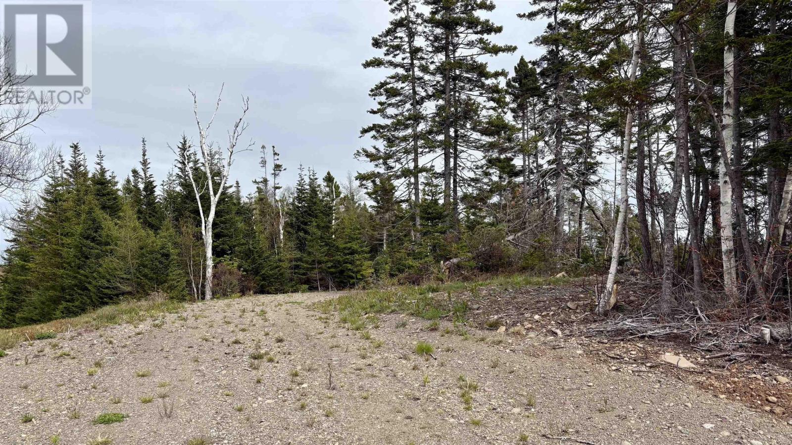 2023-1 0 255 Highway, Black Brook, Nova Scotia  B1B 1T7 - Photo 10 - 202602465