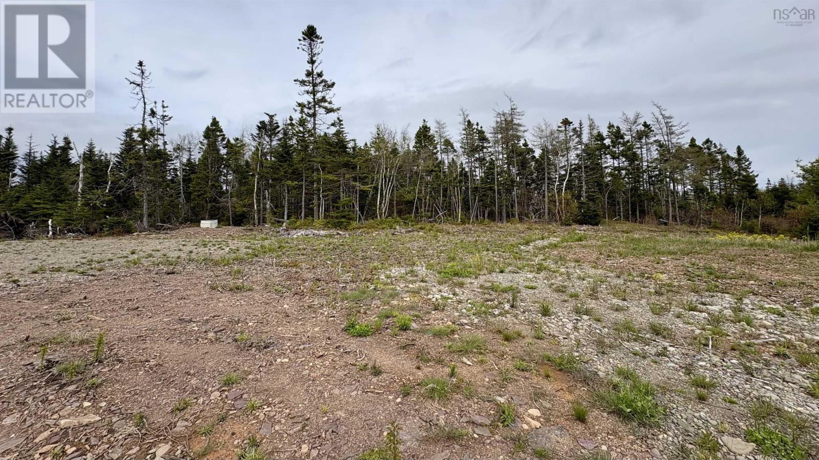 2023-1 0 255 Highway, Black Brook, Nova Scotia  B1B 1T7 - Photo 11 - 202602465