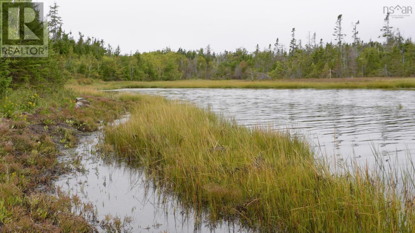 2023-1 0 255 Highway, Black Brook, Nova Scotia  B1B 1T7 - Photo 12 - 202602465