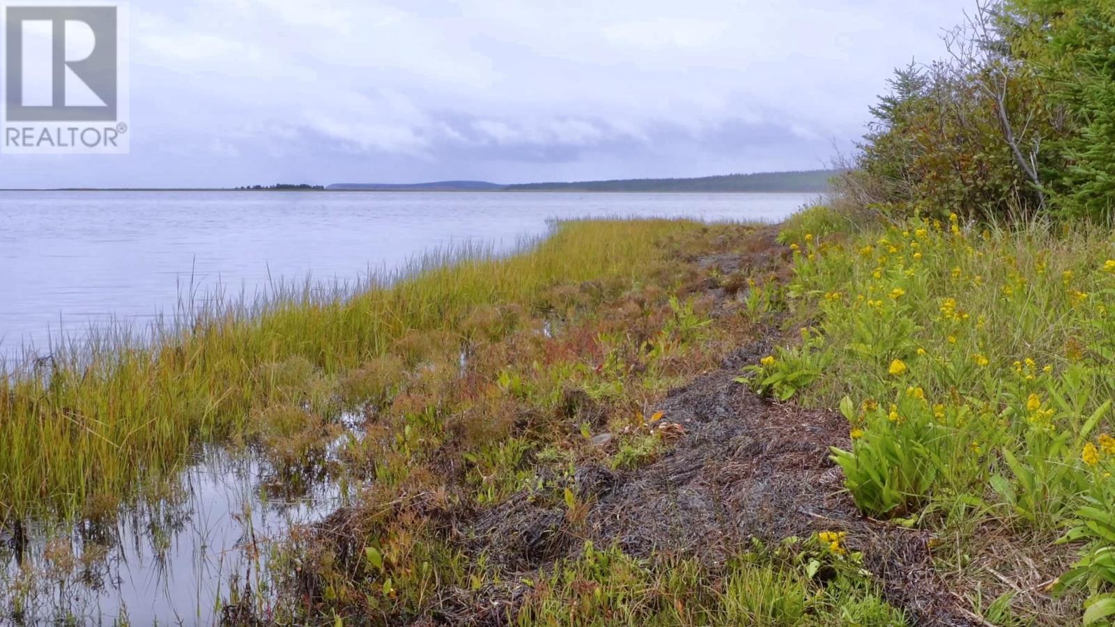2023-1 0 255 Highway, Black Brook, Nova Scotia  B1B 1T7 - Photo 13 - 202602465