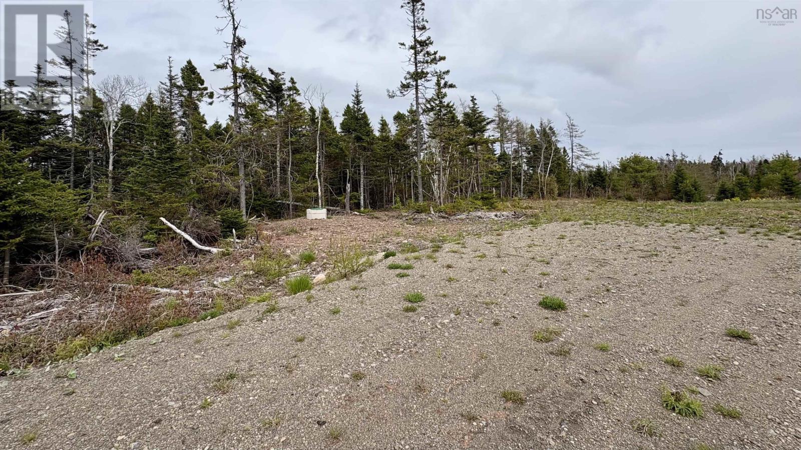 2023-1 0 255 Highway, Black Brook, Nova Scotia  B1B 1T7 - Photo 9 - 202602465