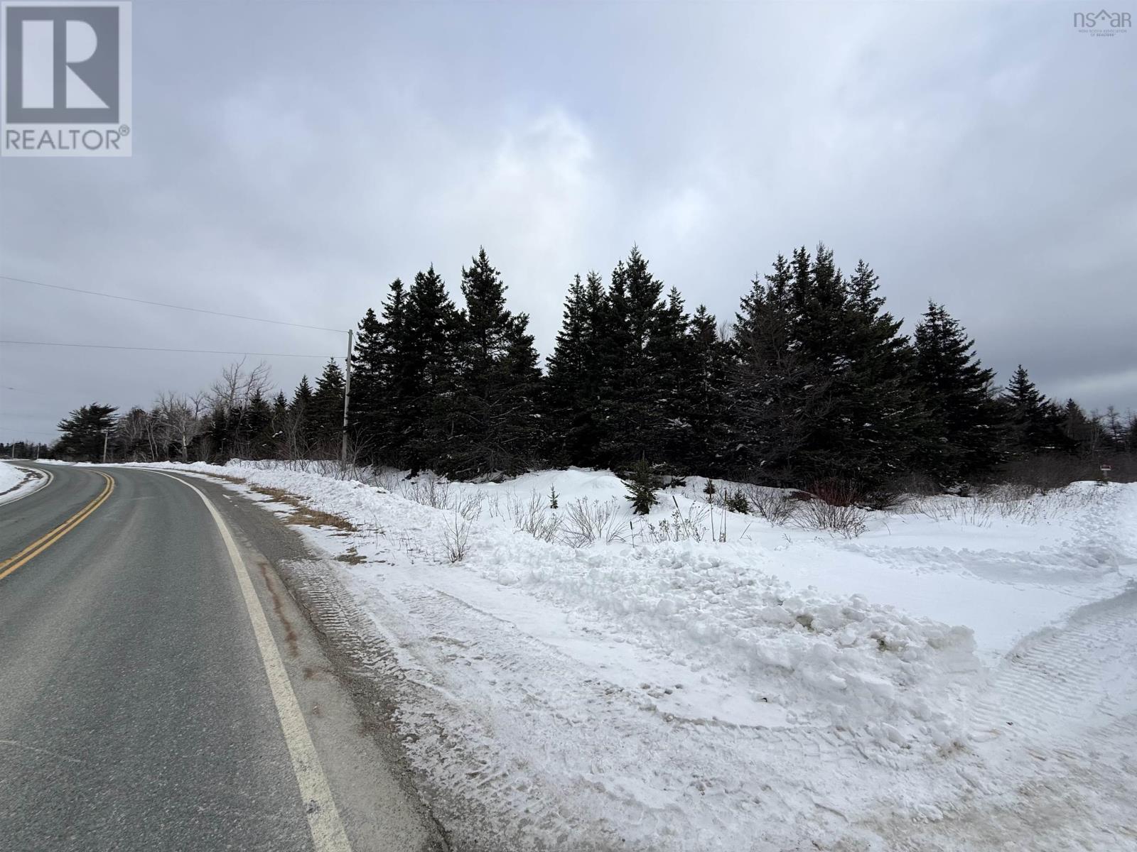 No 255 Hwy Homeville Land Highway, Homeville, Nova Scotia  B1B 1T2 - Photo 6 - 202602498