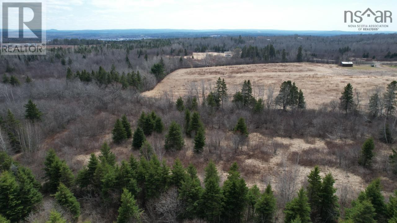 Reid Road, Little River, Nova Scotia  B0M 1P0 - Photo 10 - 202602527