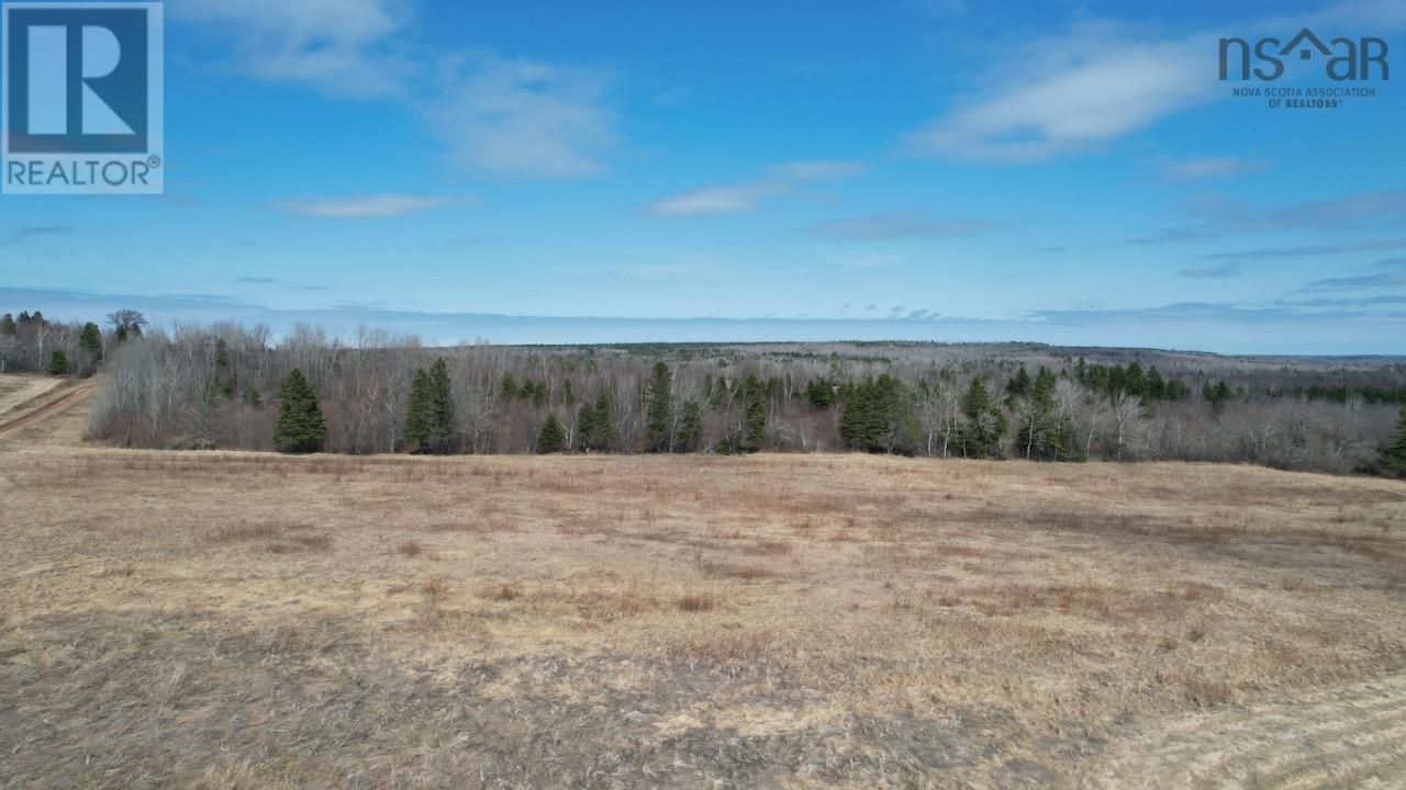 Reid Road, Little River, Nova Scotia  B0M 1P0 - Photo 11 - 202602527