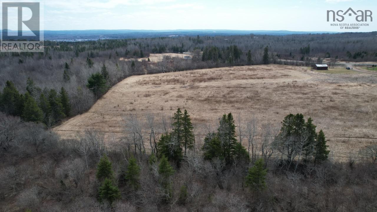 Reid Road, Little River, Nova Scotia  B0M 1P0 - Photo 12 - 202602527