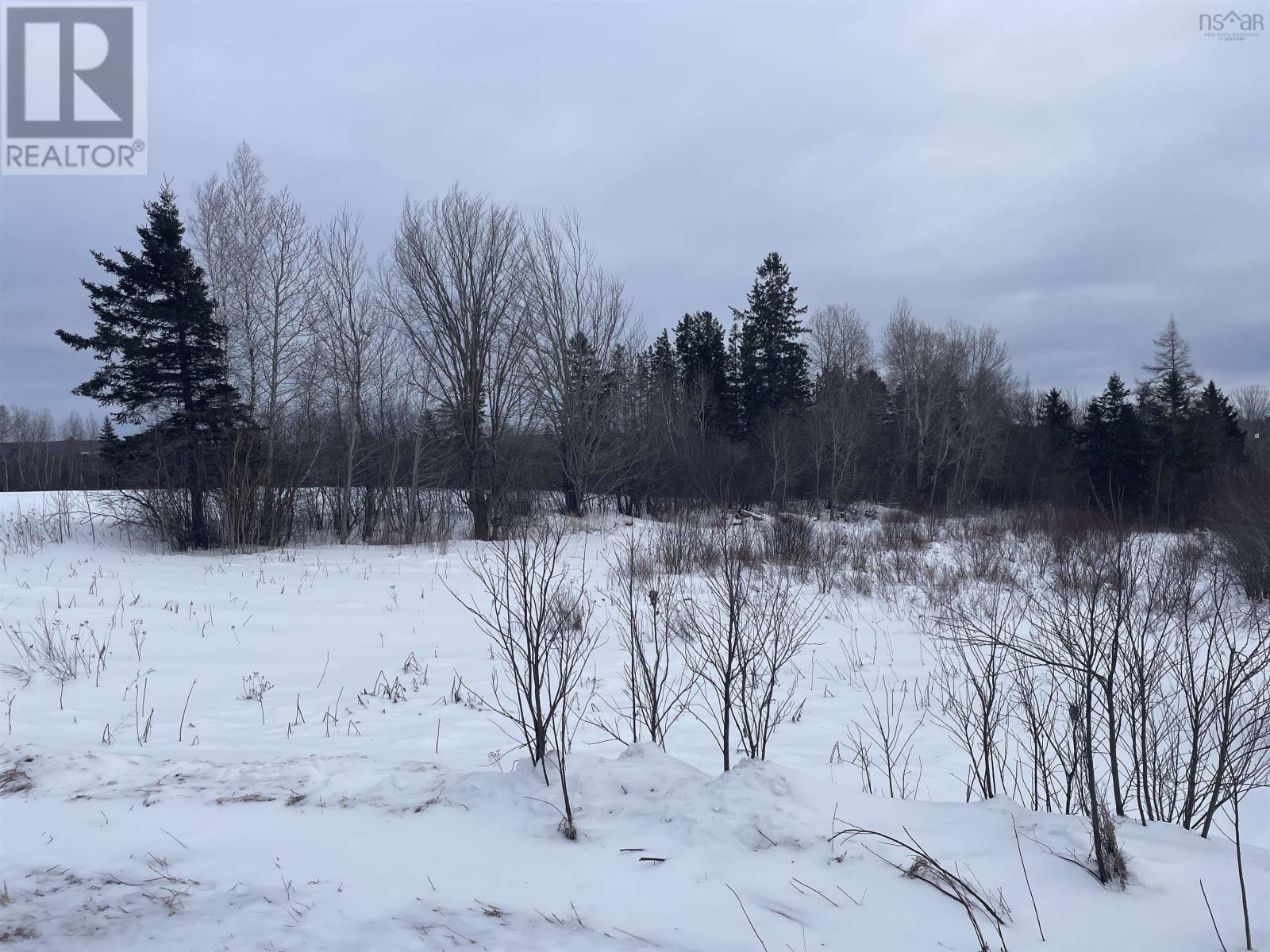 Reid Road, Little River, Nova Scotia  B0M 1P0 - Photo 3 - 202602527