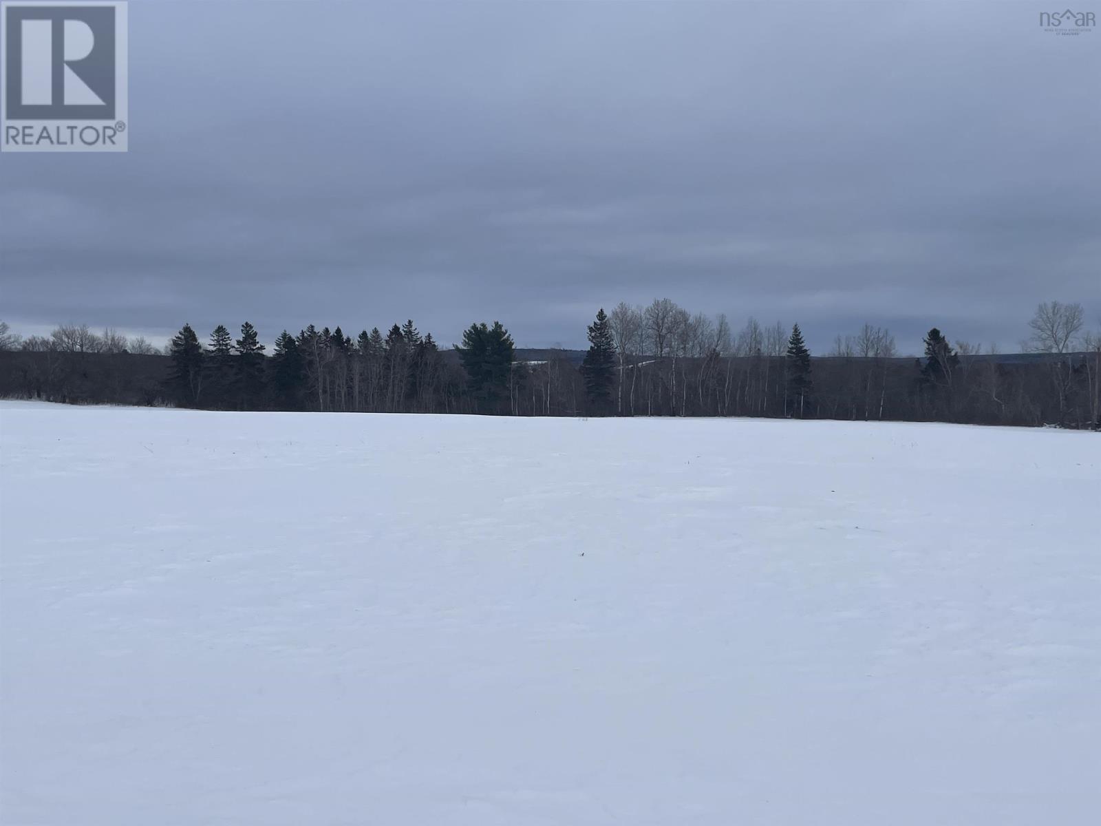 Reid Road, Little River, Nova Scotia  B0M 1P0 - Photo 4 - 202602527