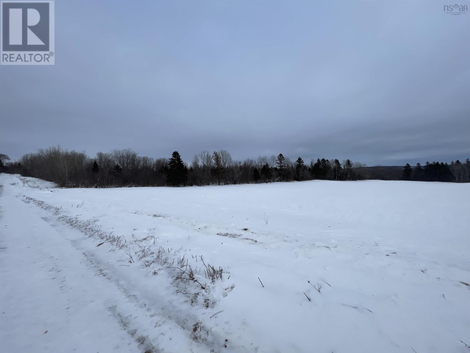 Reid Road, Little River, Nova Scotia  B0M 1P0 - Photo 5 - 202602527