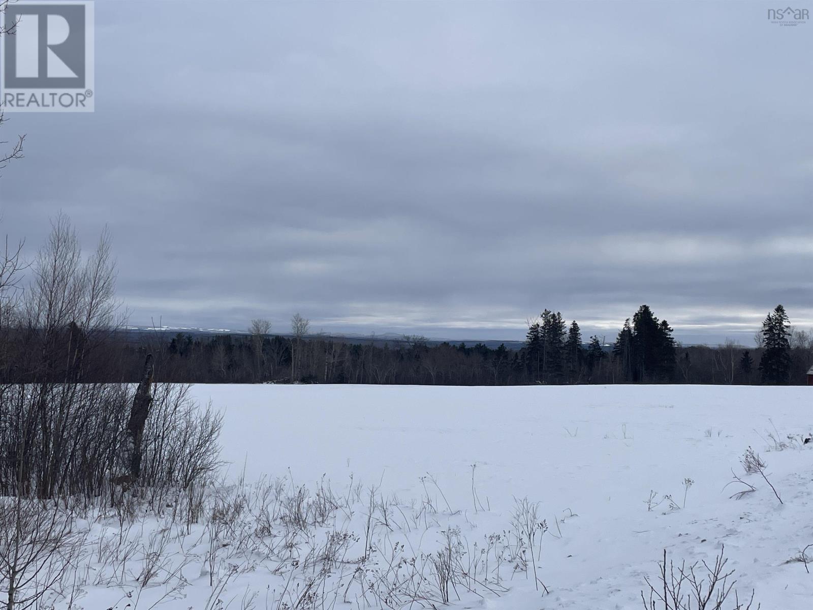 Reid Road, Little River, Nova Scotia  B0M 1P0 - Photo 6 - 202602527