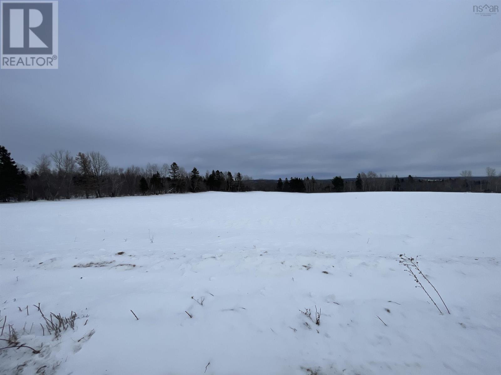 Reid Road, Little River, Nova Scotia  B0M 1P0 - Photo 7 - 202602527
