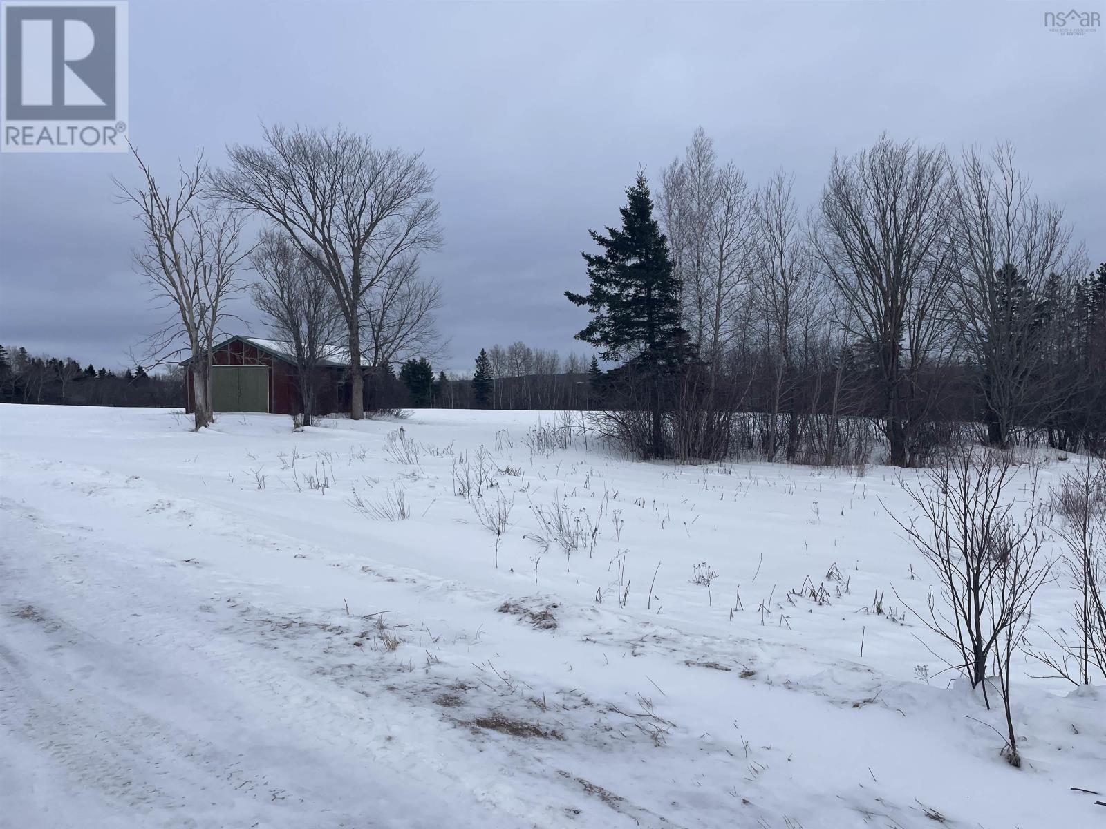 Reid Road, Little River, Nova Scotia  B0M 1P0 - Photo 8 - 202602527