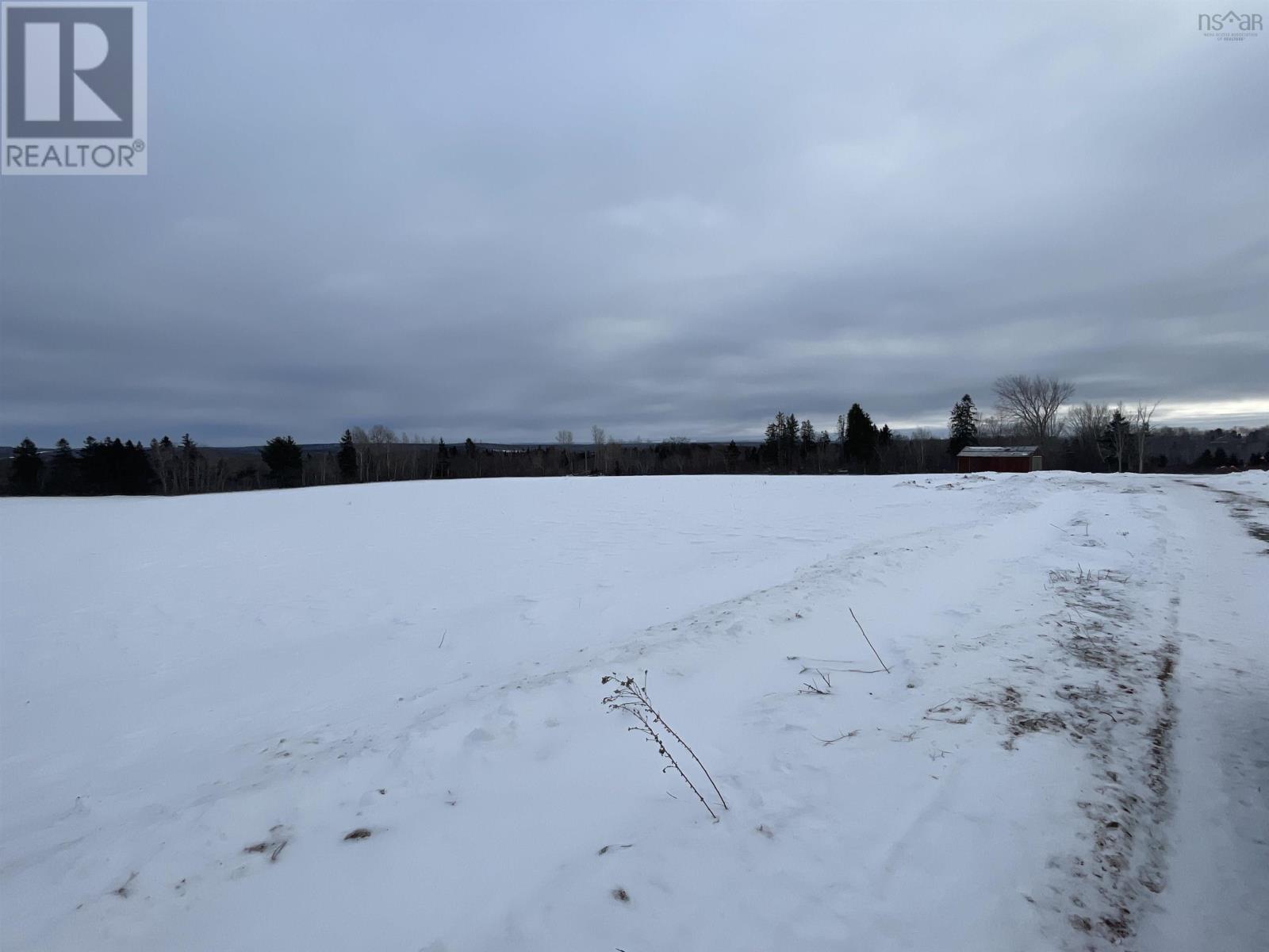 Reid Road, Little River, Nova Scotia  B0M 1P0 - Photo 9 - 202602527