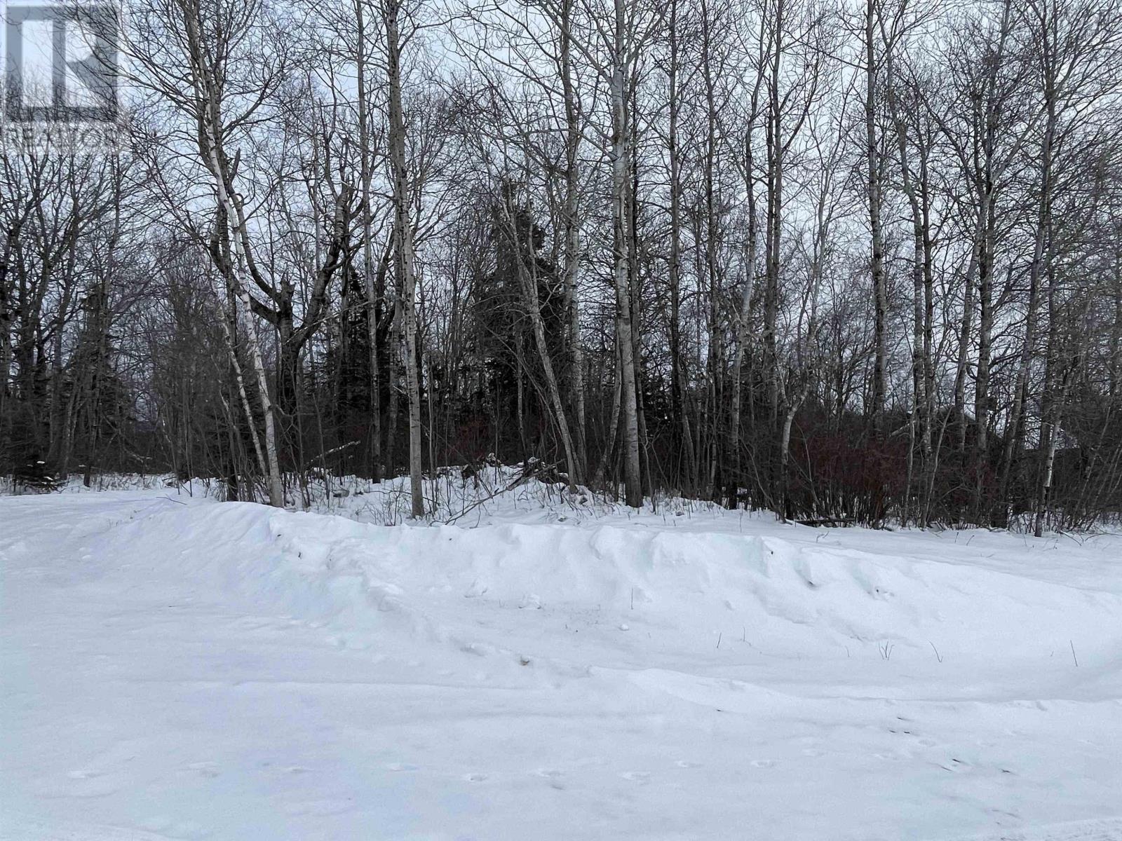 Highway 204, Little River, Nova Scotia  B0M 1P0 - Photo 2 - 202602539