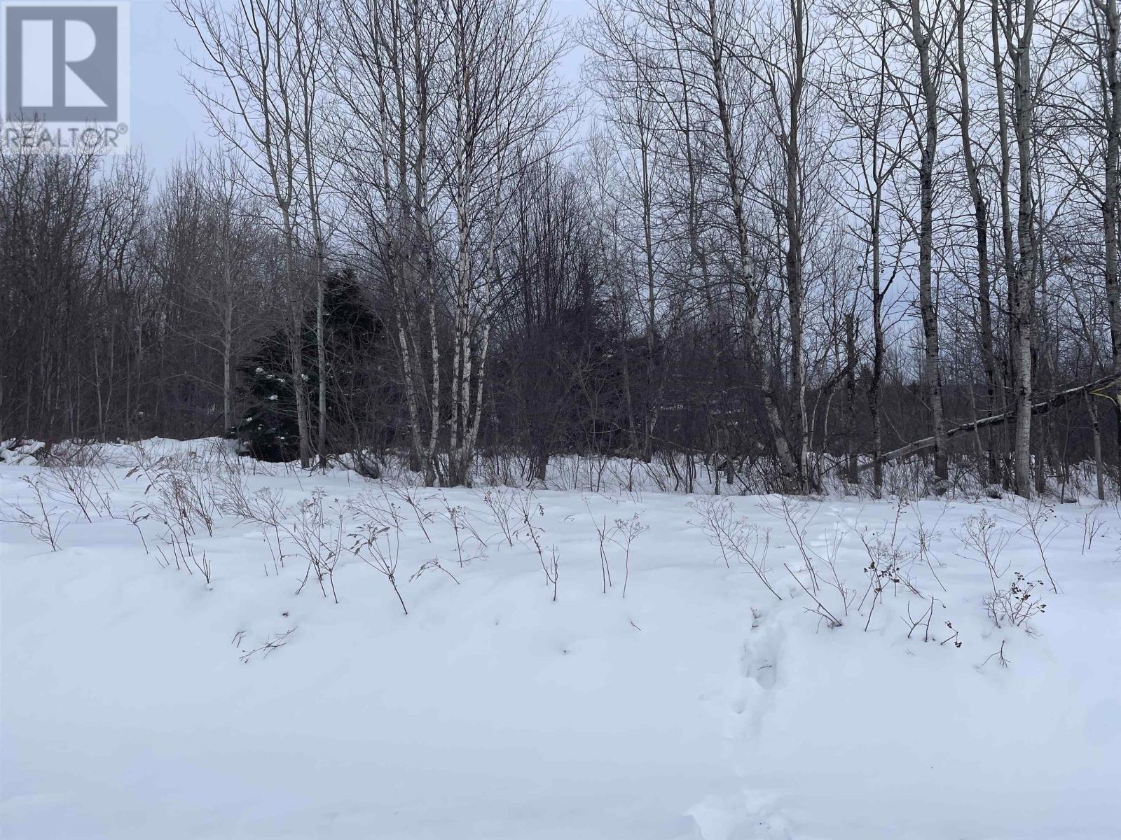 Highway 204, Little River, Nova Scotia  B0M 1P0 - Photo 4 - 202602539