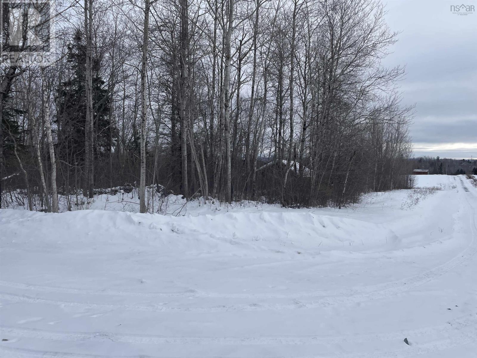 Highway 204, Little River, Nova Scotia  B0M 1P0 - Photo 5 - 202602539