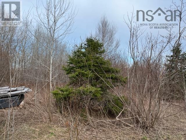 Highway 204, Little River, Nova Scotia  B0M 1P0 - Photo 6 - 202602539