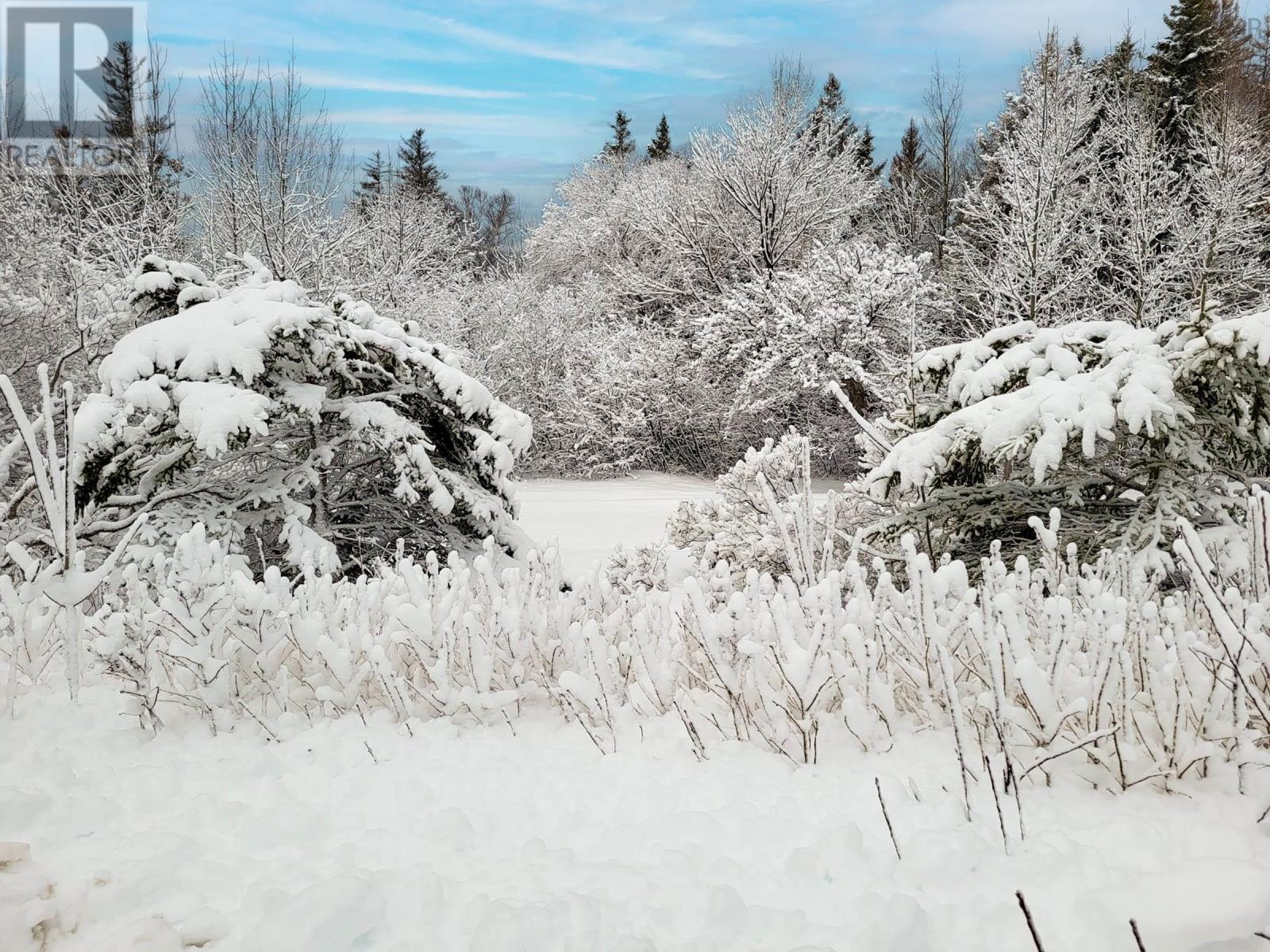 2999 Shore Road, Litchfield, Nova Scotia  B0S 1A0 - Photo 4 - 202602656