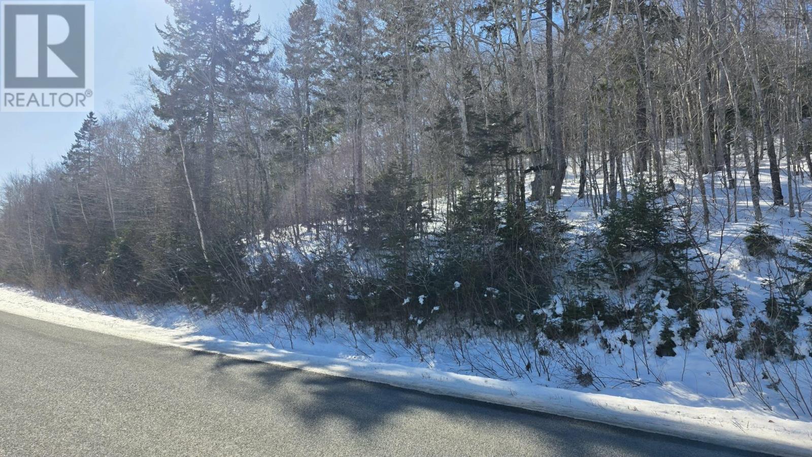 Lot 1 Mood Road, Summerville, Nova Scotia  B5A 5N6 - Photo 2 - 202602670