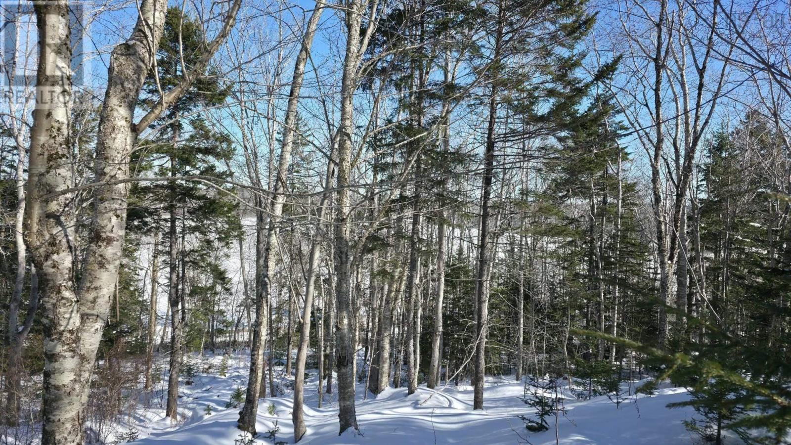 Lot 1 Mood Road, Summerville, Nova Scotia  B5A 5N6 - Photo 4 - 202602670