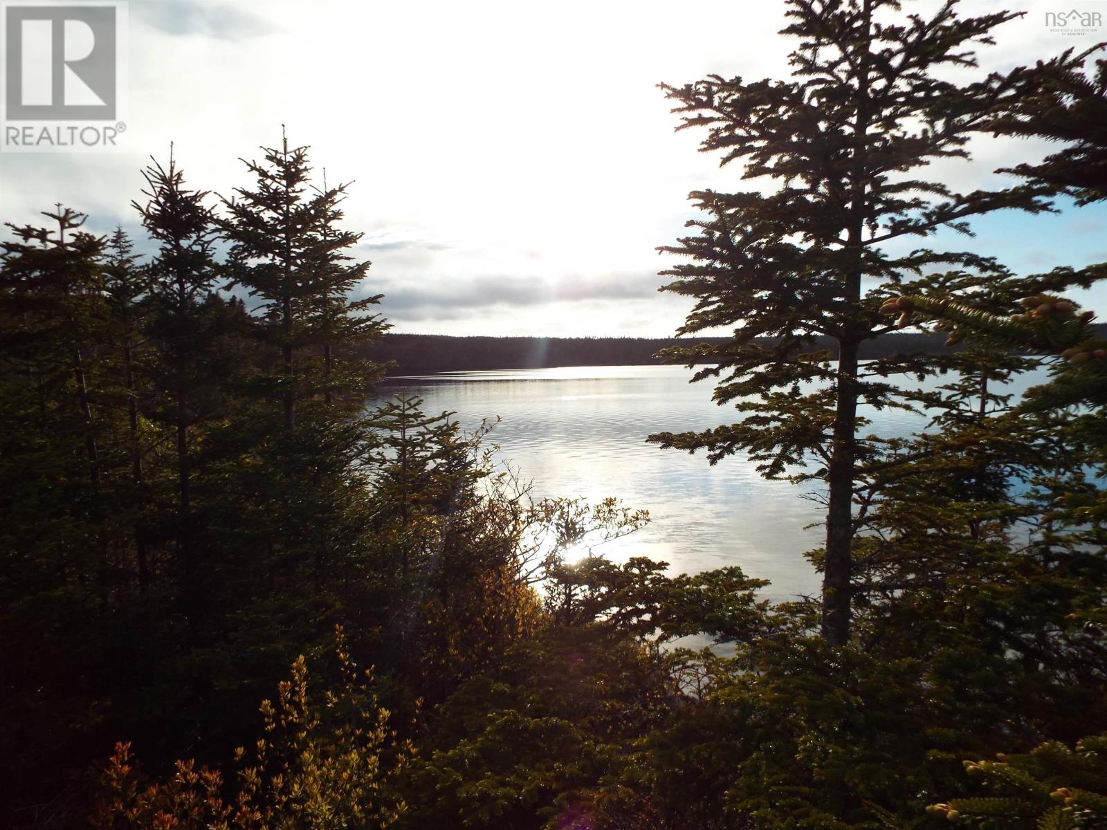 Port Bickerton Road, Port Bickerton, Nova Scotia  B0J 1A0 - Photo 6 - 202602719