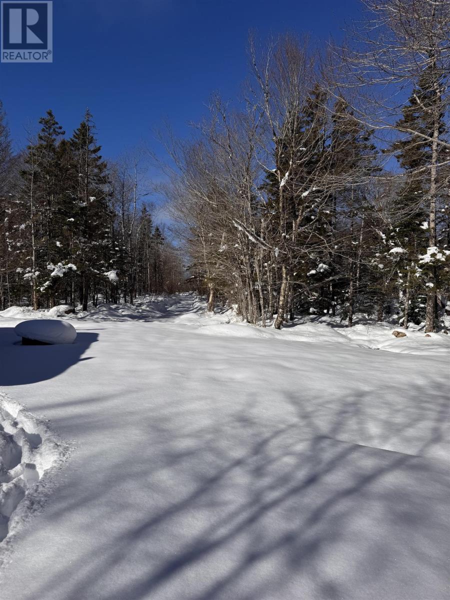 3663 Victory Road, Victory, Nova Scotia  B0S 1B0 - Photo 13 - 202602734