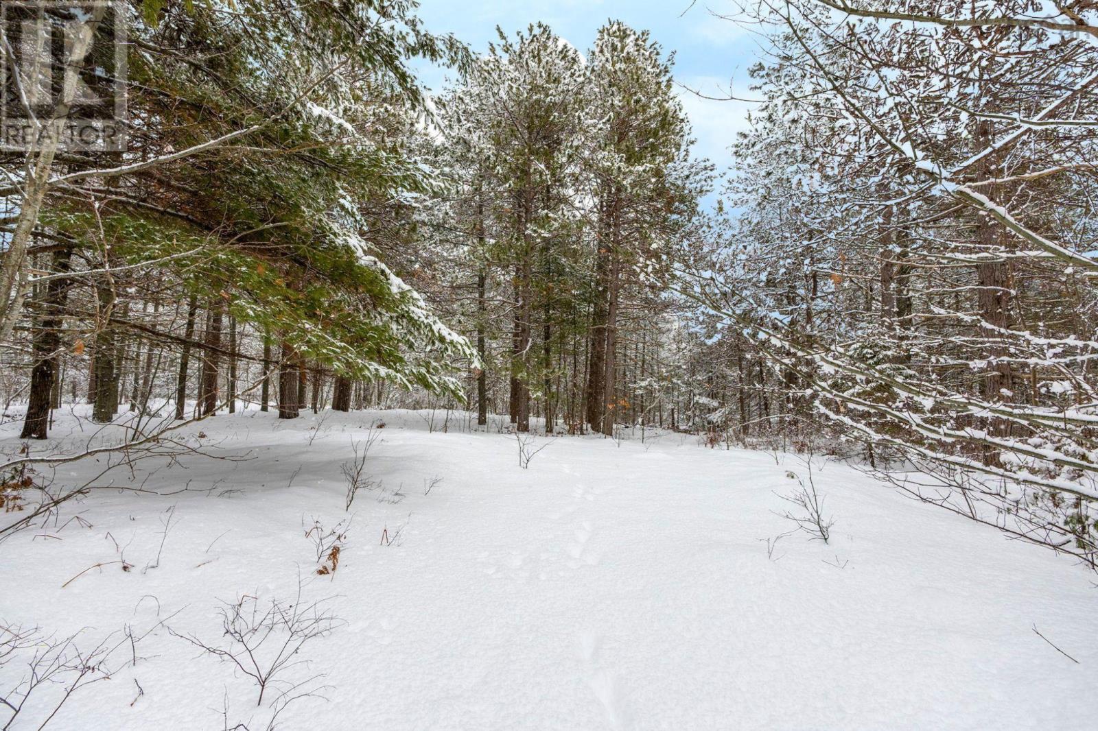 2184 Old Mill Road, South Farmington, Nova Scotia  B0P 1W0 - Photo 4 - 202602772