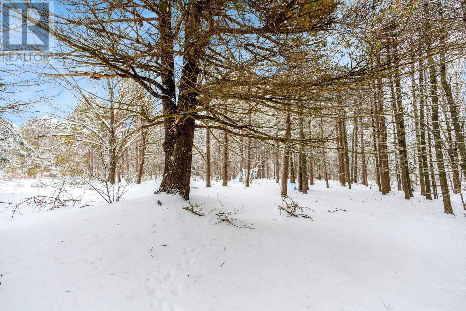 2184 Old Mill Road, South Farmington, Nova Scotia  B0P 1W0 - Photo 44 - 202602772