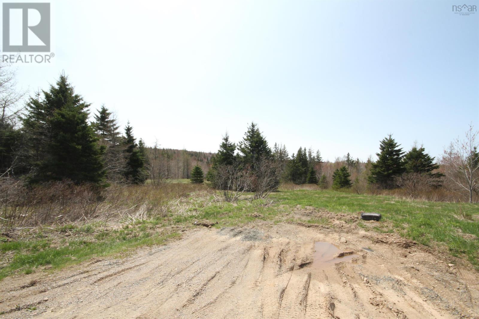 Lot 1 River Denys Mountain Road, Rear Judique, Nova Scotia  B0E 1P0 - Photo 2 - 202602790