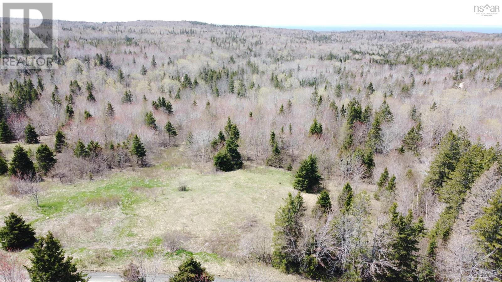 Lot 1 River Denys Mountain Road, Rear Judique, Nova Scotia  B0E 1P0 - Photo 3 - 202602790