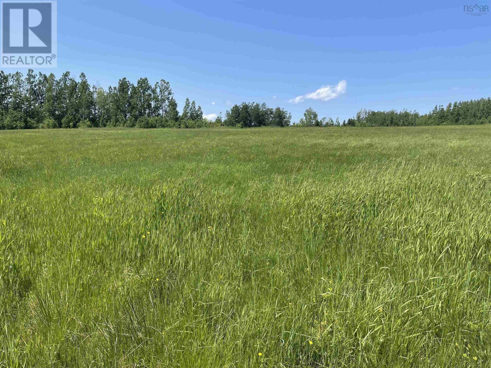 Lot 34 Saltwater Drive, Malagash, Nova Scotia  B0K 1E0 - Photo 4 - 202602854