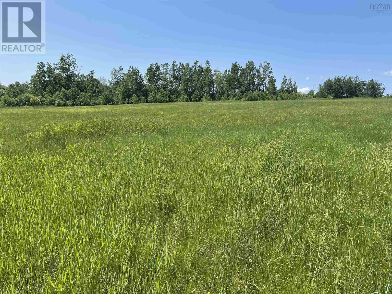 Lot 34 Saltwater Drive, Malagash, Nova Scotia  B0K 1E0 - Photo 5 - 202602854