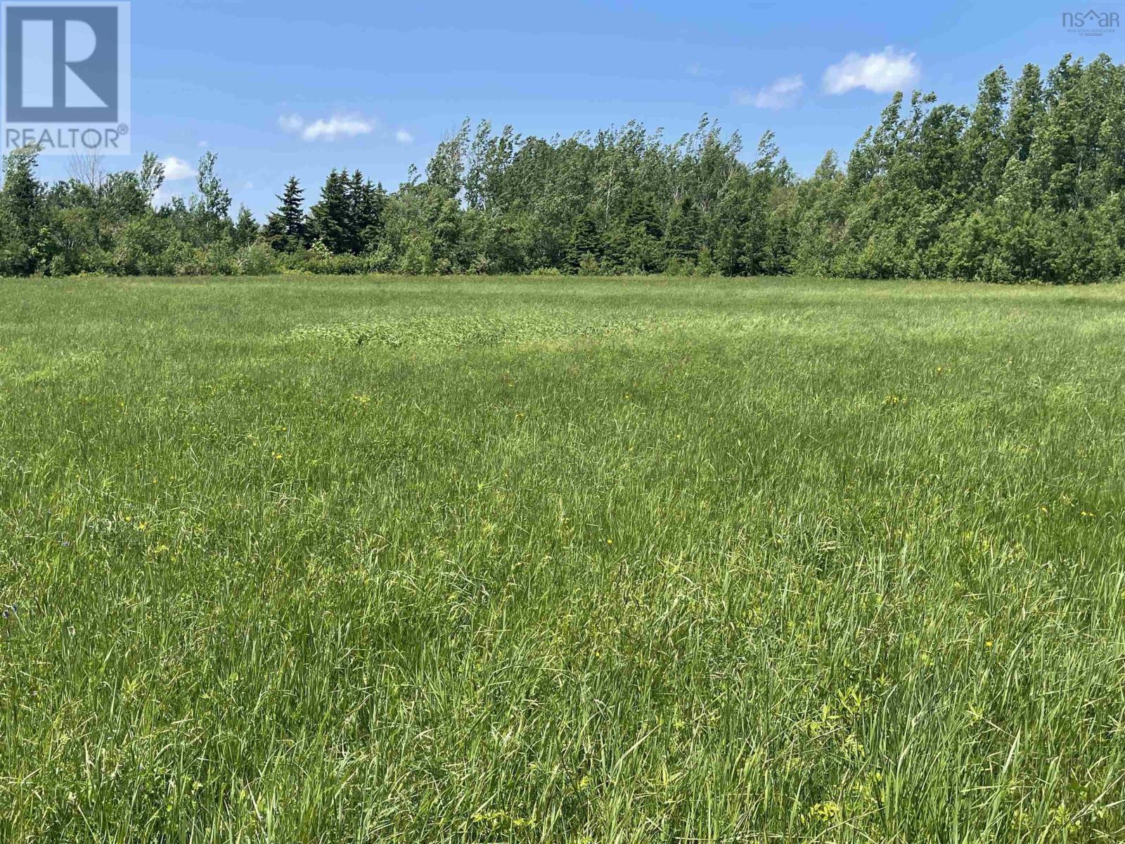 Lot 34 Saltwater Drive, Malagash, Nova Scotia  B0K 1E0 - Photo 8 - 202602854