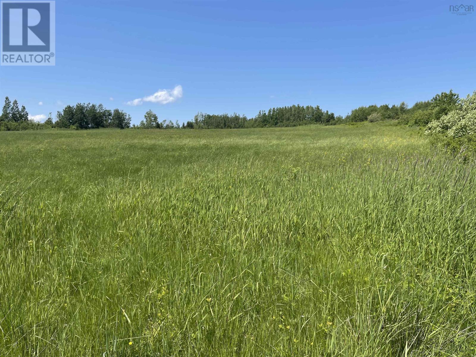 Lot 35 Saltwater Drive, Malagash, Nova Scotia  B0K 1E0 - Photo 3 - 202602855