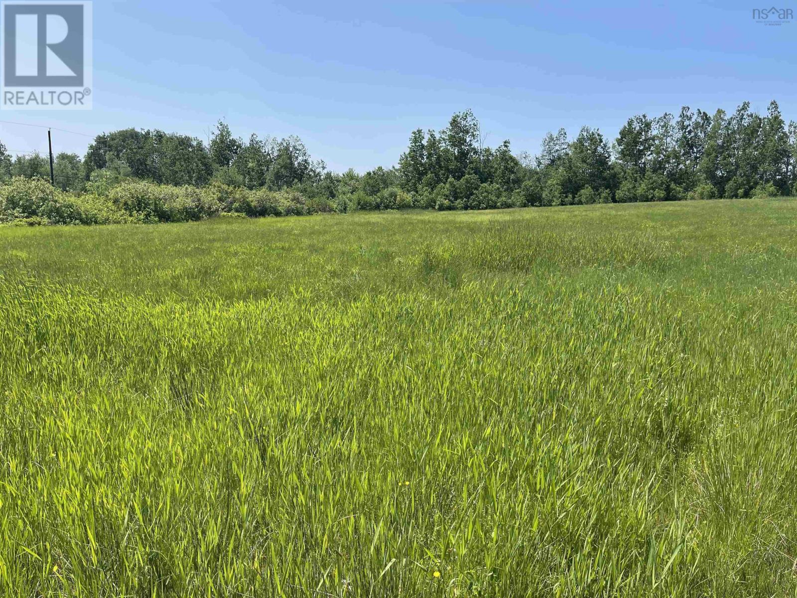 Lot 35 Saltwater Drive, Malagash, Nova Scotia  B0K 1E0 - Photo 6 - 202602855