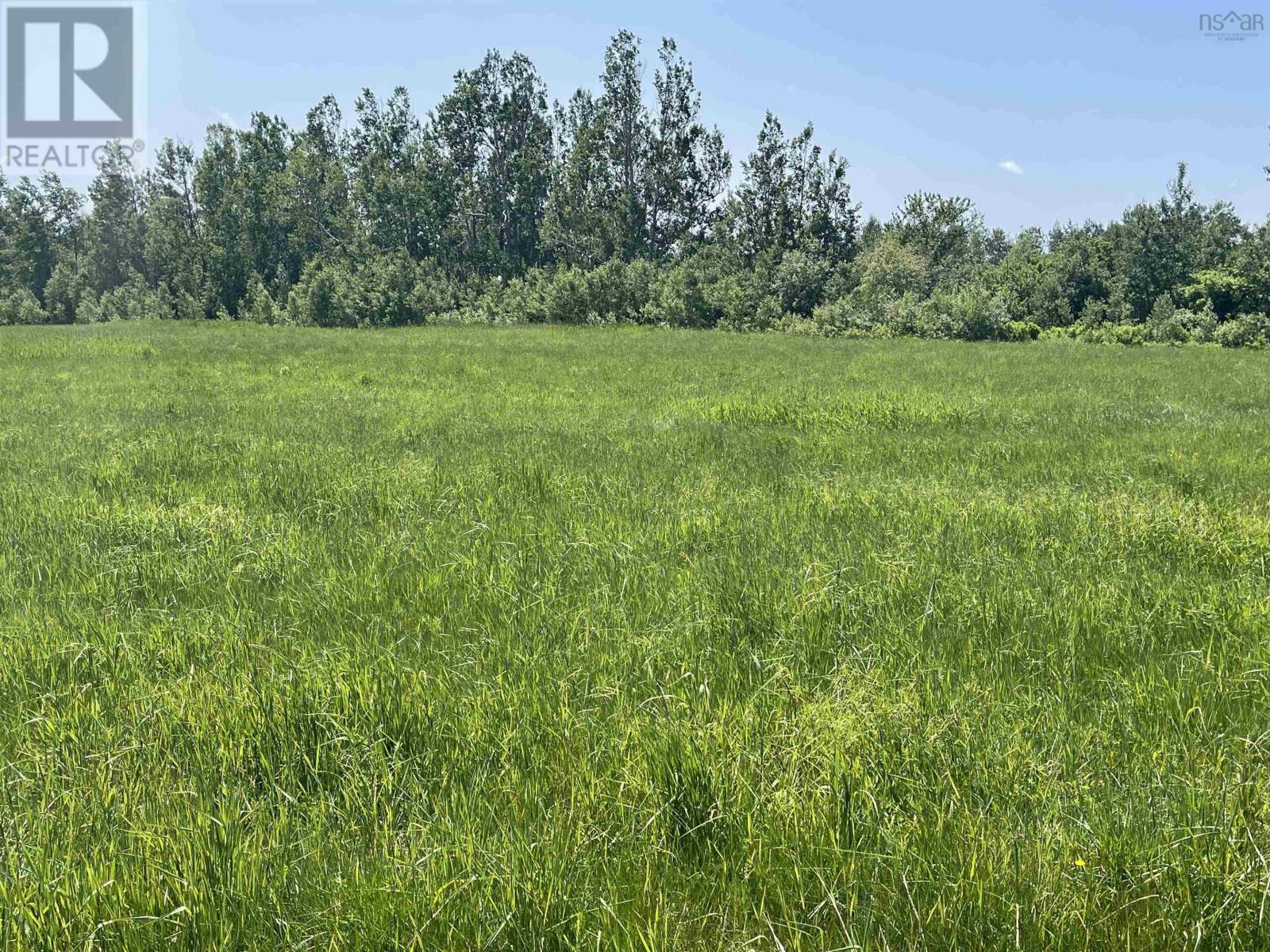 Lot 35 Saltwater Drive, Malagash, Nova Scotia  B0K 1E0 - Photo 9 - 202602855