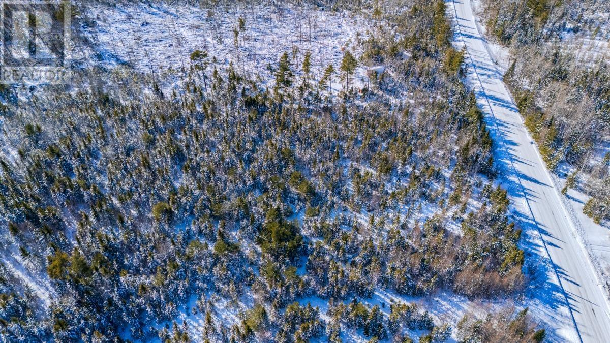Lot S-1 Otterbrook Road, Otter Brook, Nova Scotia  B0N 1C0 - Photo 16 - 202602888