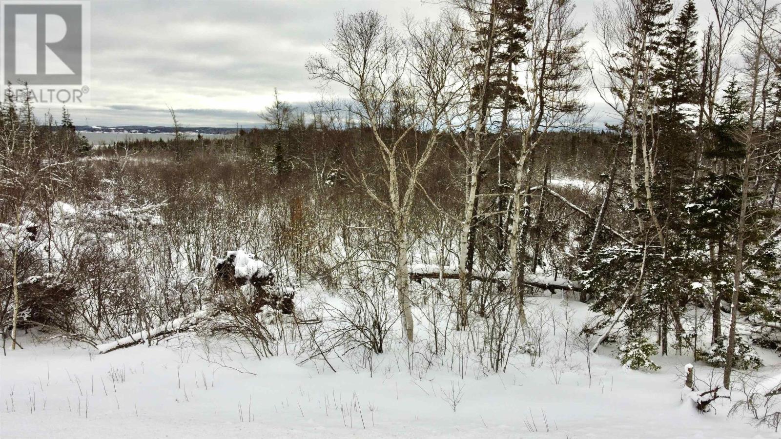 255 Highway, Round Island, Nova Scotia  B1B 1P2 - Photo 4 - 202602929