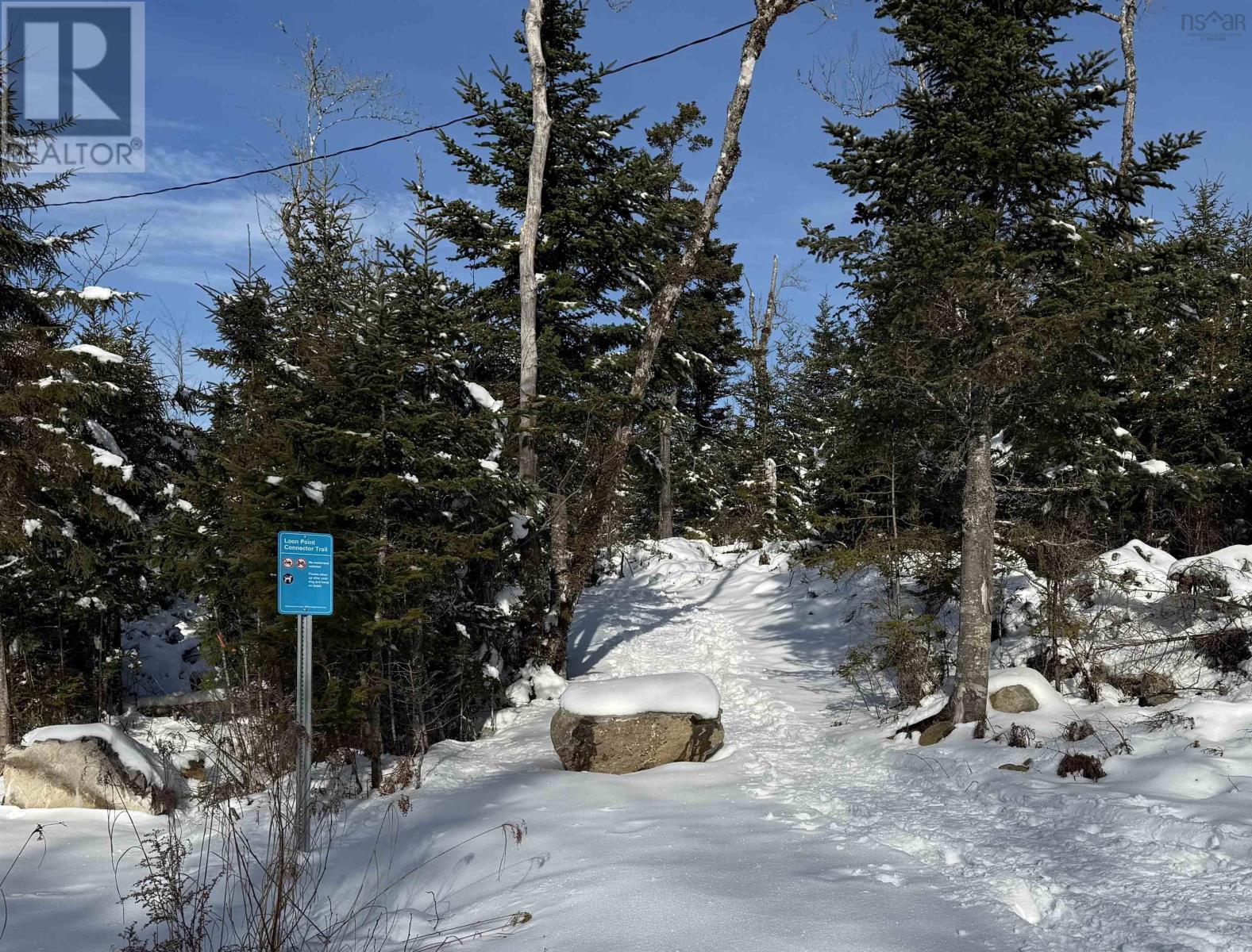 176 Loon Point Trail, East Uniacke, Nova Scotia  B0N 1Z0 - Photo 11 - 202602957